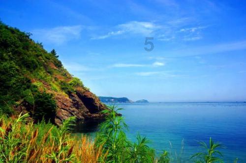 【两会·黔言】周蓓蕾委员：以阅读为纽带 赋能乡村教育